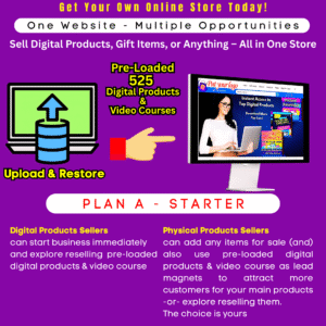 Pre-Loaded Online Store E-Commerce Website: Plan A – Starter